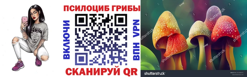 магазин продажи   Полевской  Галлюциногенные грибы прущие грибы 